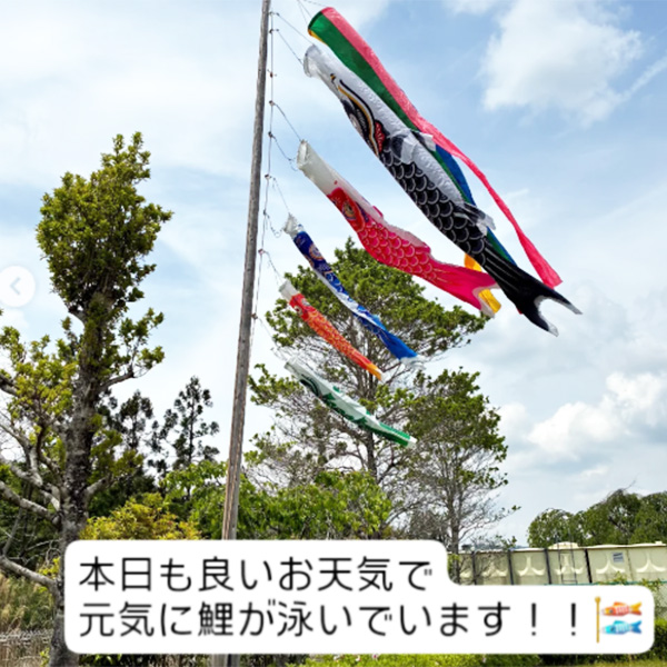 アイコン