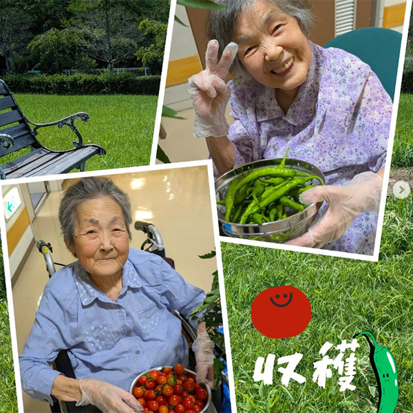アイコン